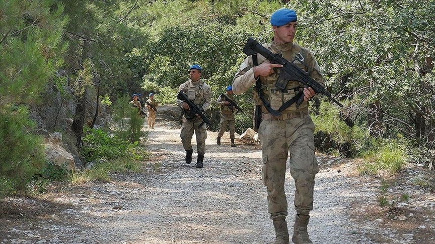 Zəfəranın Kilosu 600 min TL (təxminən 32,000 AZN) Oldu – Jandarma Tarlalarda Növbə Çəkməyə Başladı