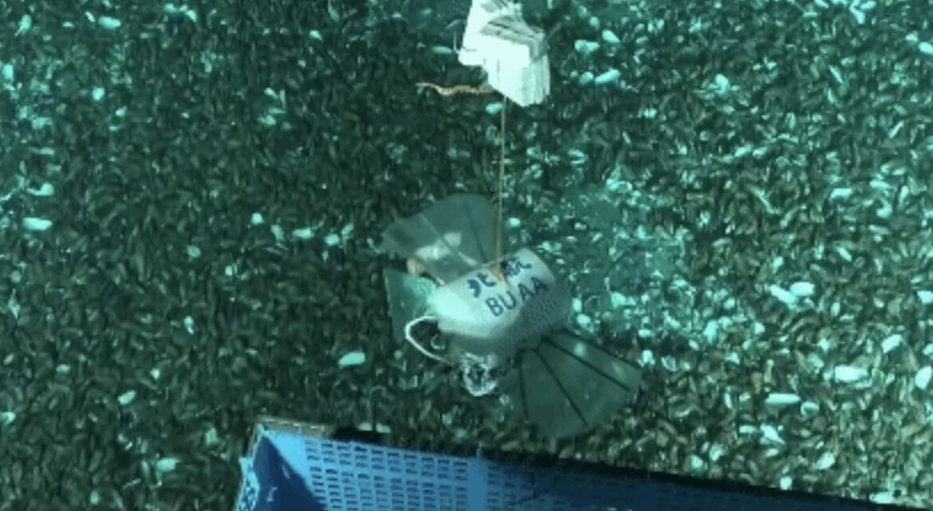 Çinli alimlər  Mariana çökəkliyində işləyə bilən kiçik robot hazırlayıb